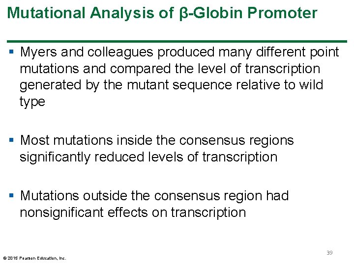 Mutational Analysis of β-Globin Promoter § Myers and colleagues produced many different point mutations Mutational Analysis of β-Globin Promoter § Myers and colleagues produced many different point mutations