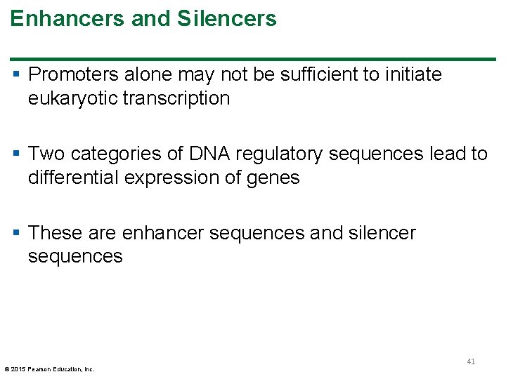 Enhancers and Silencers § Promoters alone may not be sufficient to initiate eukaryotic transcription Enhancers and Silencers § Promoters alone may not be sufficient to initiate eukaryotic transcription