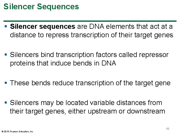Silencer Sequences § Silencer sequences are DNA elements that act at a distance to Silencer Sequences § Silencer sequences are DNA elements that act at a distance to