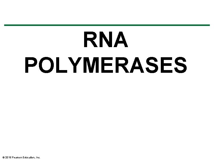 RNA POLYMERASES © 2015 Pearson Education, Inc. RNA POLYMERASES © 2015 Pearson Education, Inc.