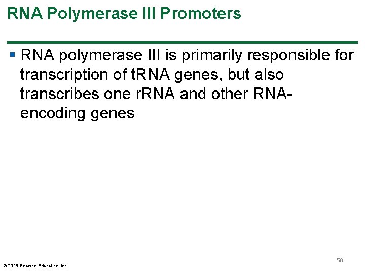 RNA Polymerase III Promoters § RNA polymerase III is primarily responsible for transcription of RNA Polymerase III Promoters § RNA polymerase III is primarily responsible for transcription of