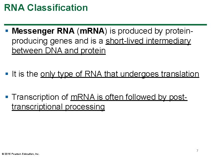 RNA Classification § Messenger RNA (m. RNA) is produced by proteinproducing genes and is RNA Classification § Messenger RNA (m. RNA) is produced by proteinproducing genes and is