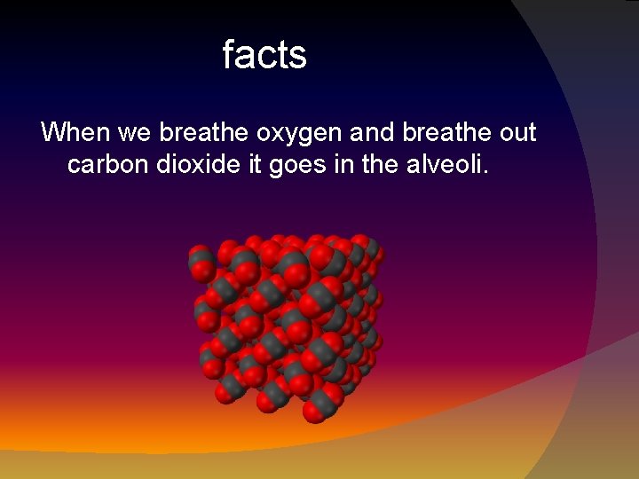 facts When we breathe oxygen and breathe out carbon dioxide it goes in the