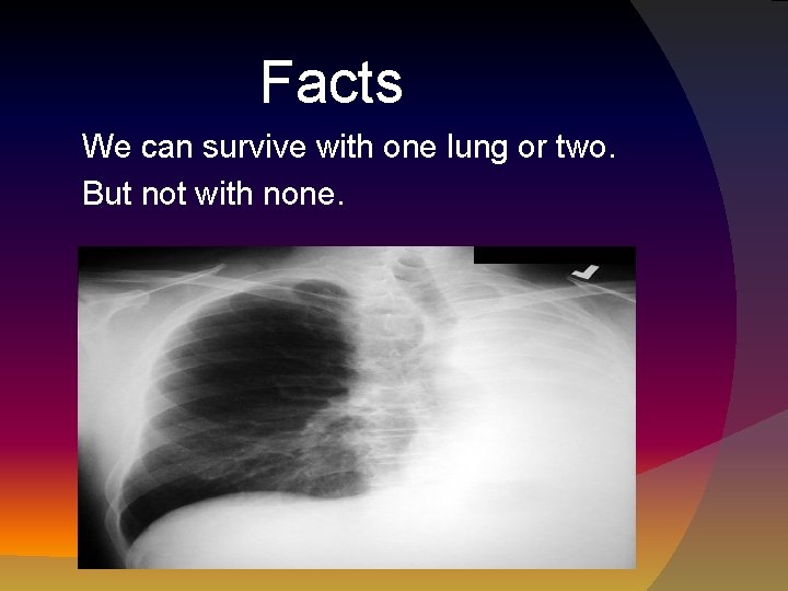 Lungs LUNGS By Fatima fatima Facts How do