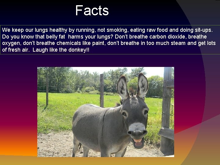 Facts We keep our lungs healthy by running, not smoking, eating raw food and