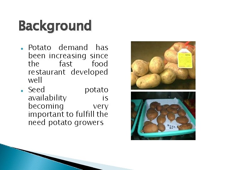 Background Potato demand has been increasing since the fast food restaurant developed well Seed