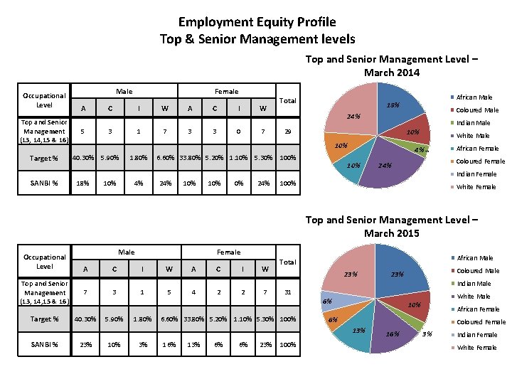 Employment Equity Profile Top & Senior Management levels Top and Senior Management Level –