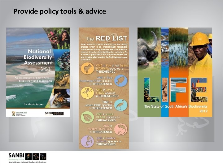 Provide policy tools & advice 