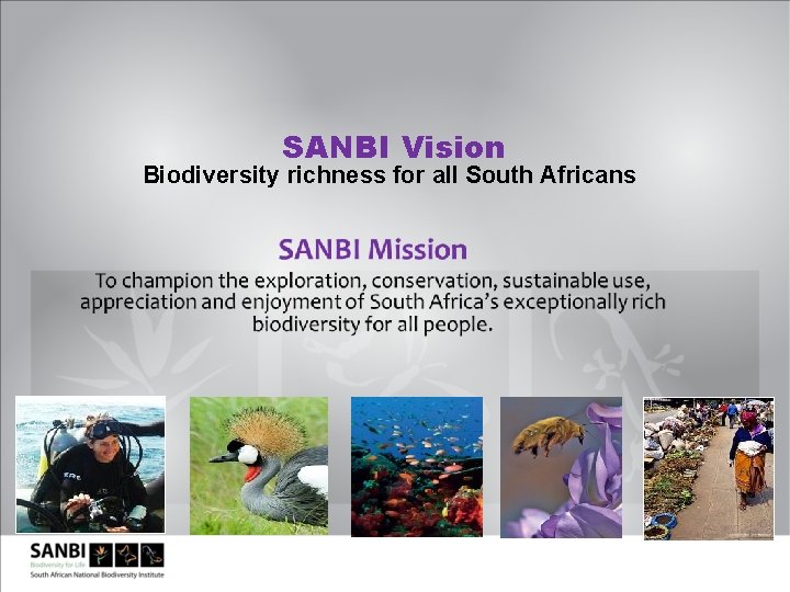 SANBI Vision Biodiversity richness for all South Africans 