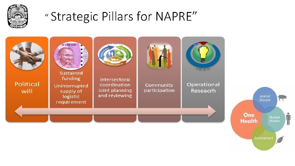 “ Strategic Pillars for NAPRE” 