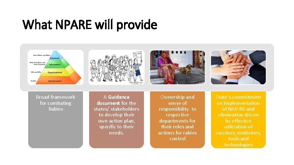 What NPARE will provide Broad framework for combating Rabies A Guidance document for the