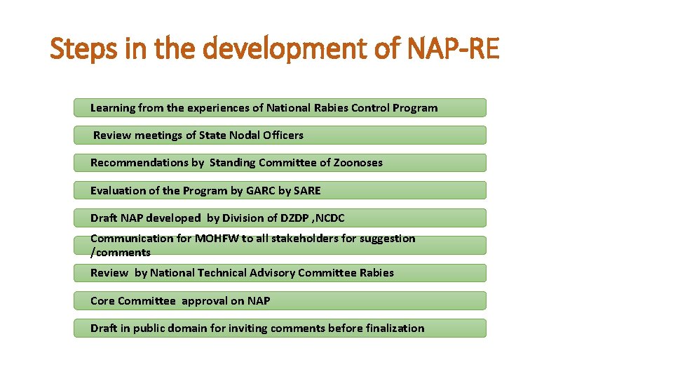 Steps in the development of NAP-RE Learning from the experiences of National Rabies Control