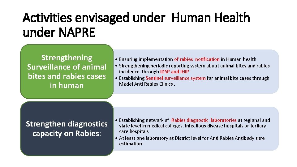 Activities envisaged under Human Health under NAPRE Strengthening Surveillance of animal bites and rabies