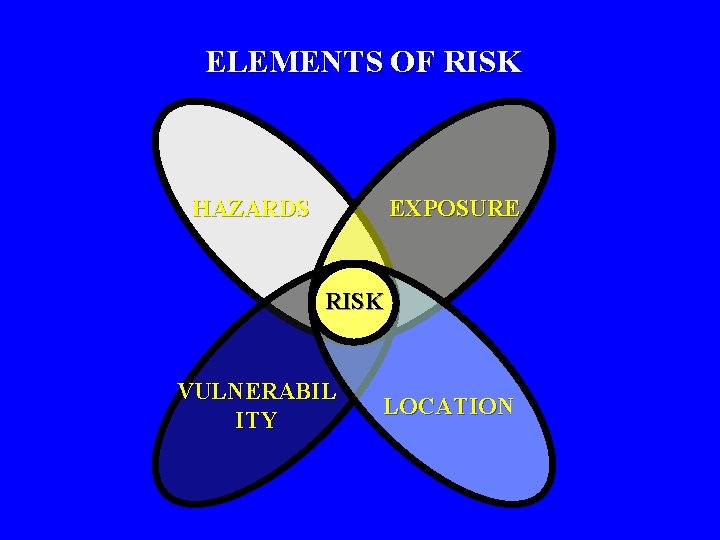 ELEMENTS OF RISK HAZARDS EXPOSURE RISK VULNERABIL ITY LOCATION 