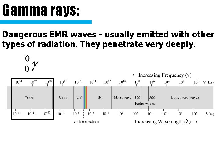 Gamma rays: Dangerous EMR waves - usually emitted with other types of radiation. They