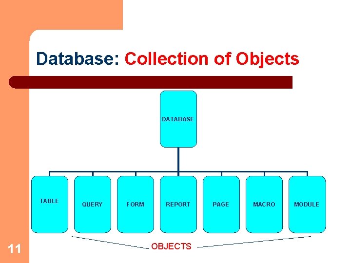 Database: Collection of Objects DATABASE TABLE 11 QUERY FORM REPORT OBJECTS PAGE MACRO MODULE