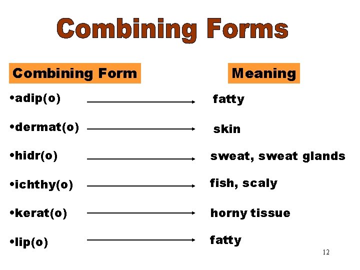 Combining Forms Combining Form Meaning • adip(o) fatty • dermat(o) skin • hidr(o) sweat,