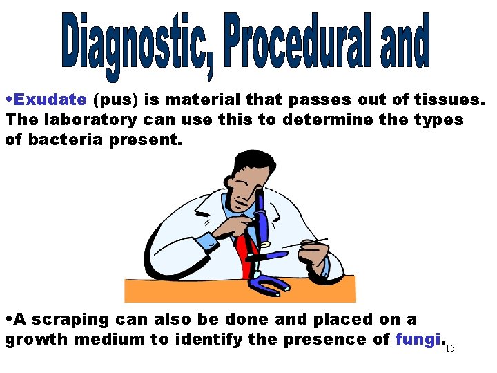 Exudate/Fungi • Exudate (pus) is material that passes out of tissues. The laboratory can