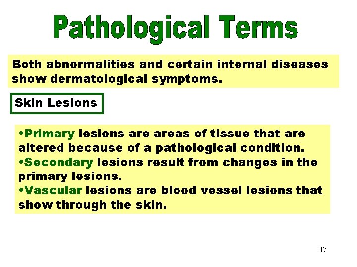 Skin Lesions Both abnormalities and certain internal diseases show dermatological symptoms. Skin Lesions •