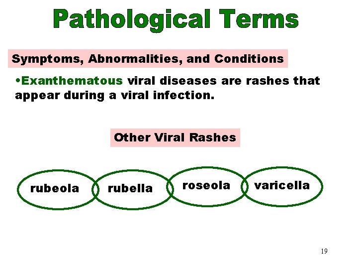 Viral Rashes Symptoms, Abnormalities, and Conditions • Exanthematous viral diseases are rashes that appear