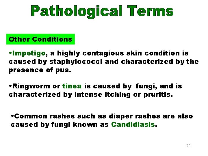 Other Conditions • Impetigo, a highly contagious skin condition is caused by staphylococci and