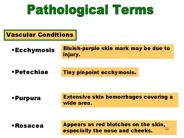 Vascular Conditions • Ecchymosis Bluish-purple skin mark may be due to injury. • Petechiae