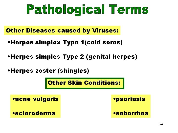 Other Virus Diseases Other Diseases caused by Viruses: • Herpes simplex Type 1(cold sores)