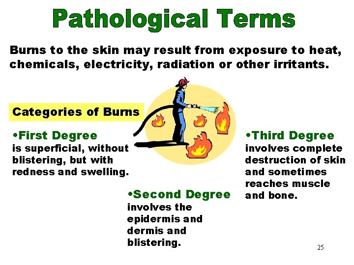 Categories of Burns to the skin may result from exposure to heat, chemicals, electricity,
