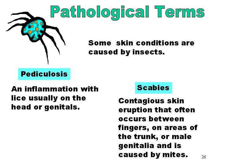 Conditions Caused by Insects Some skin conditions are caused by insects. Pediculosis An inflammation