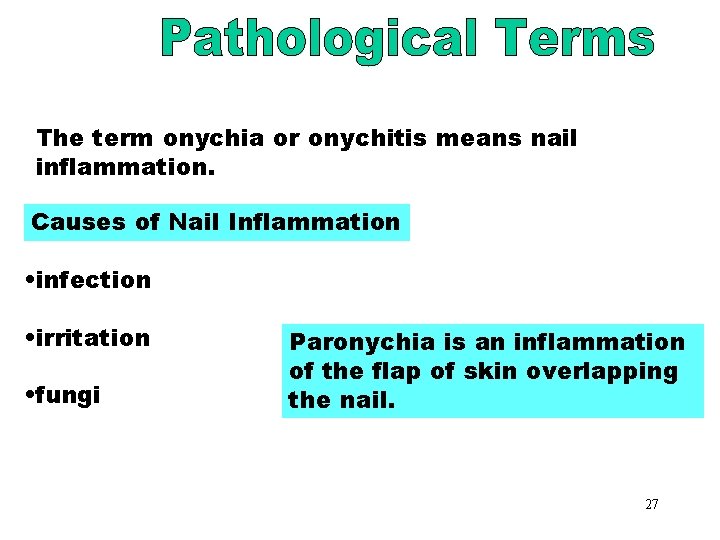 Nail Inflammation The term onychia or onychitis means nail inflammation. Causes of Nail Inflammation