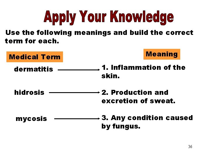 Apply Your Knowledge Part 3 Use the following meanings and build the correct term