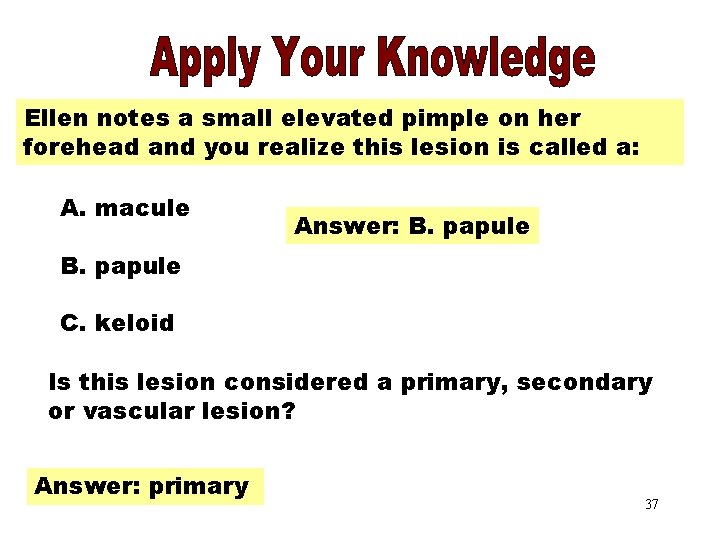 Apply Your Knowledge Part 4 Ellen notes a small elevated pimple on her forehead