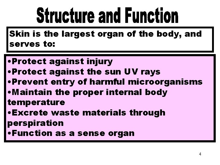 Structure and Function Skin is the largest organ of the body, and serves to: