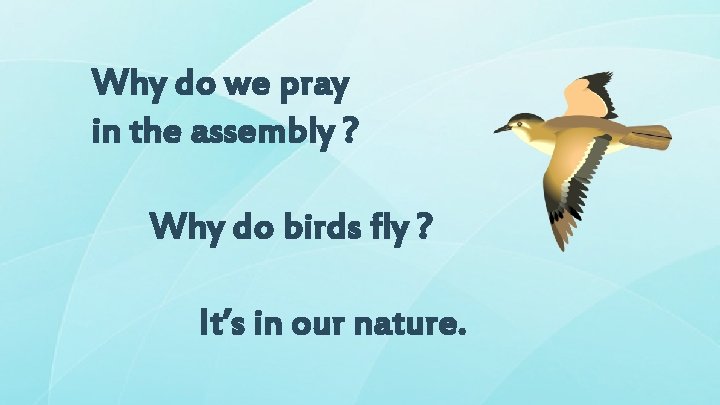 Why do we pray in the assembly ? Why do birds fly ? It’s