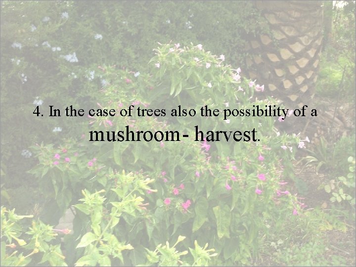 4. In the case of trees also the possibility of a mushroom- harvest. 