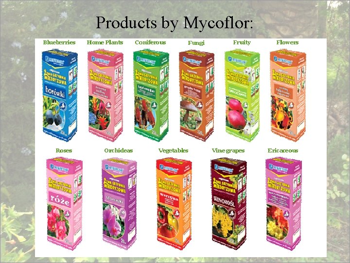 Products by Mycoflor: 