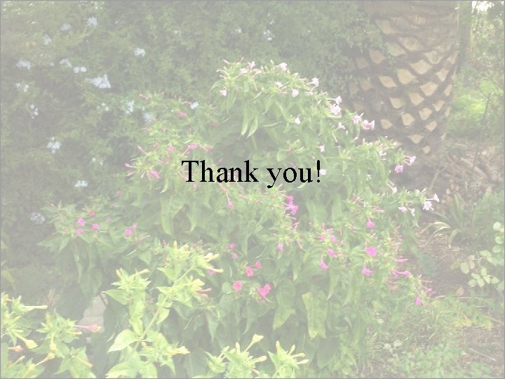 Thank you! 