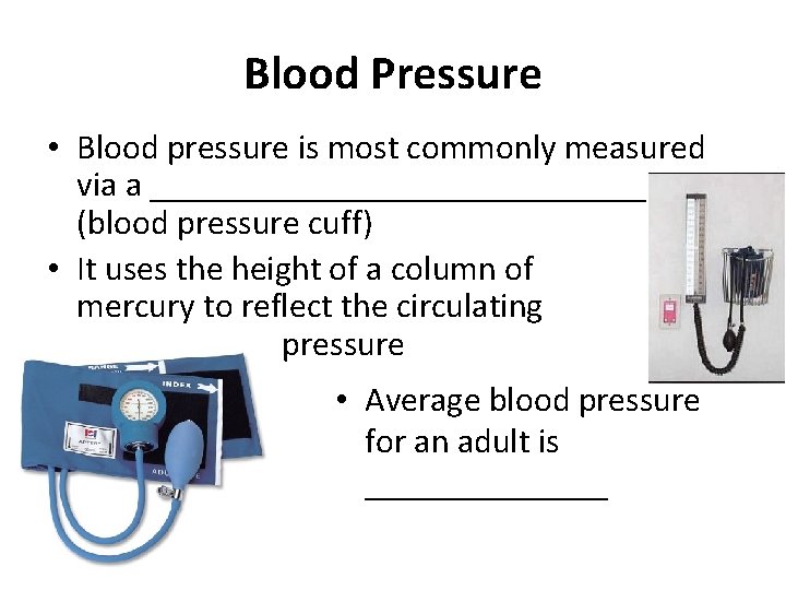 Blood Pressure • Blood pressure is most commonly measured via a _______________ (blood pressure