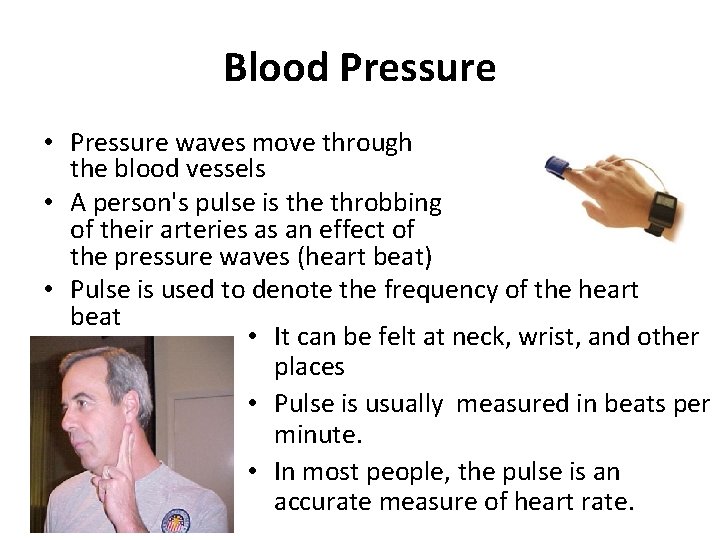 Blood Pressure • Pressure waves move through the blood vessels • A person's pulse
