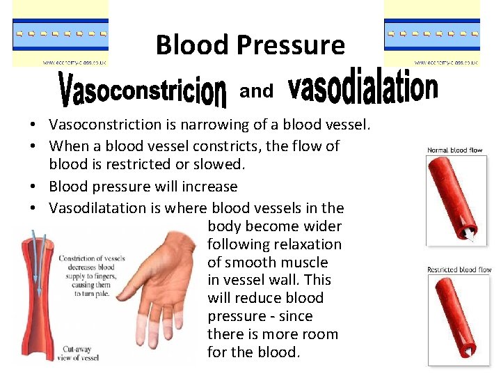 Blood Pressure and • Vasoconstriction is narrowing of a blood vessel. • When a