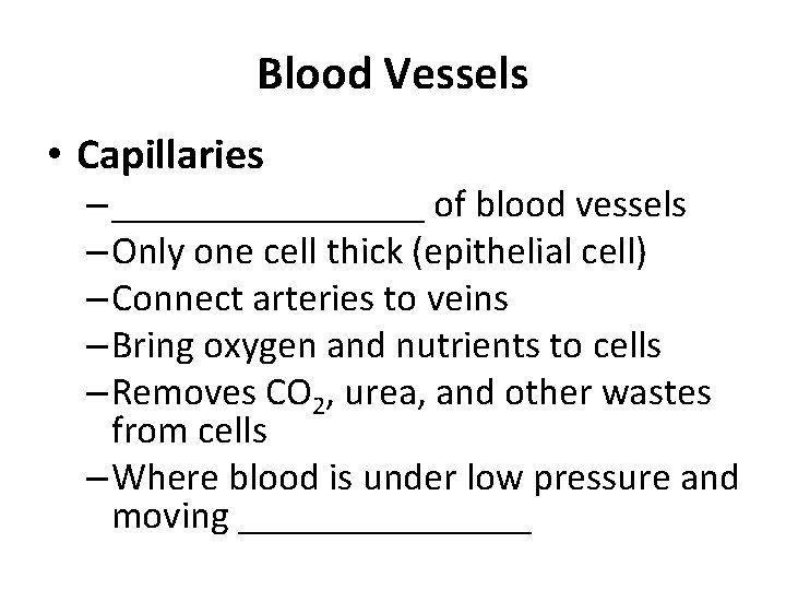 Blood Vessels • Capillaries – ________ of blood vessels – Only one cell thick