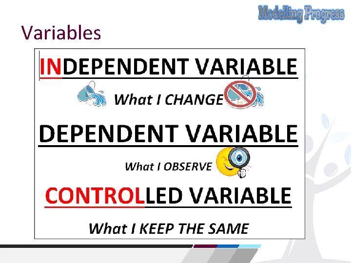 Variables 