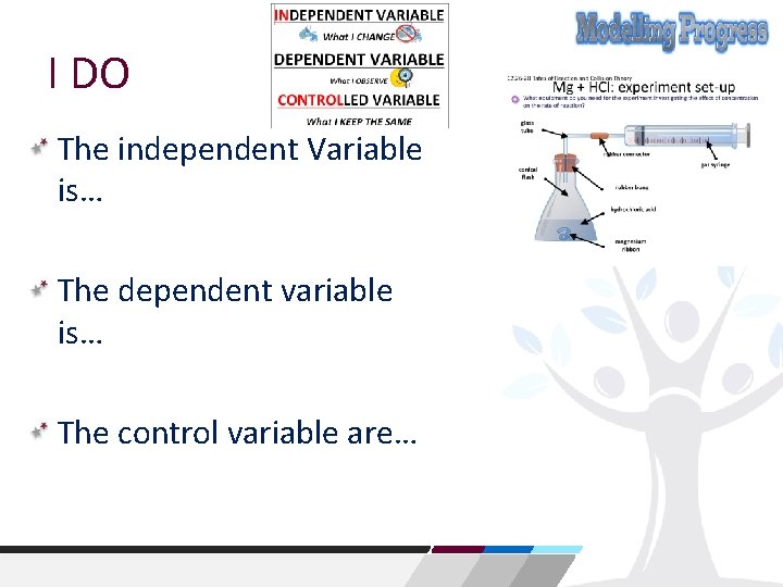 I DO The independent Variable is… The dependent variable is… The control variable are…