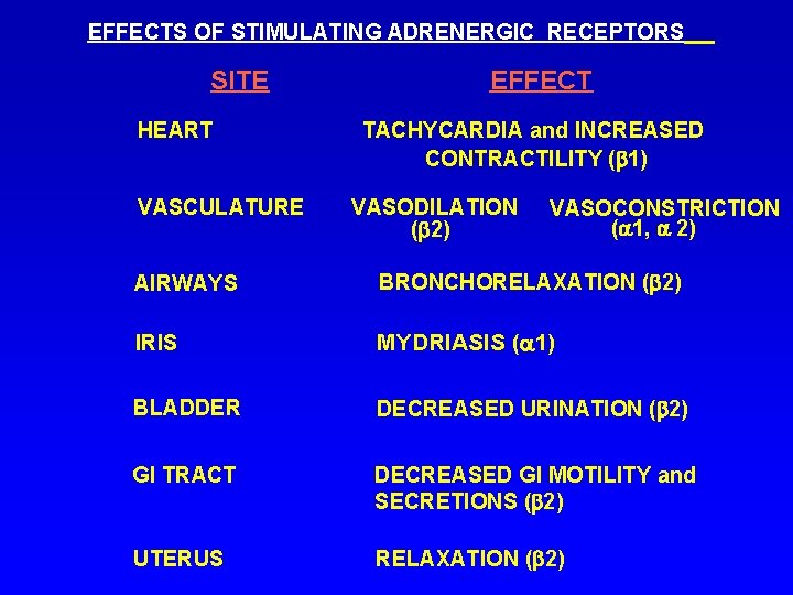 EFFECTS OF STIMULATING ADRENERGIC RECEPTORS SITE HEART VASCULATURE EFFECT TACHYCARDIA and INCREASED CONTRACTILITY (