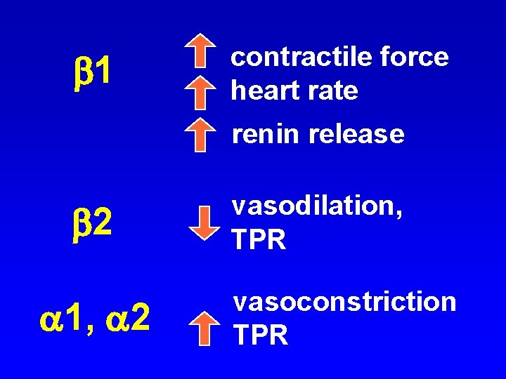  1 contractile force heart rate renin release 2 1, 2 vasodilation, TPR vasoconstriction