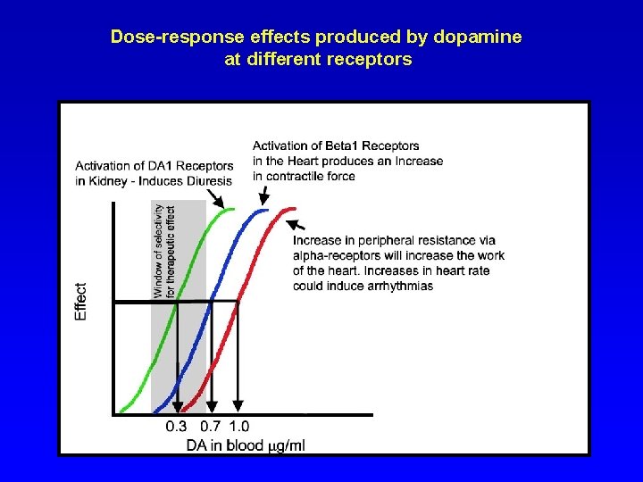 Dose-response effects produced by dopamine at different receptors 