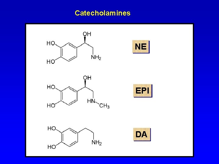 Catecholamines NE EPI DA 