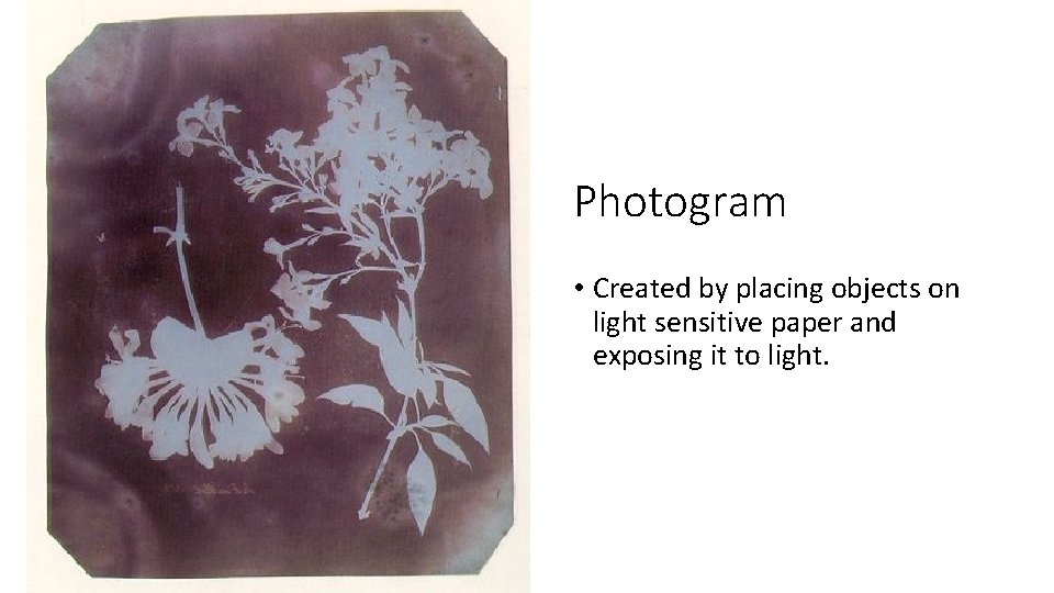 Photogram • Created by placing objects on light sensitive paper and exposing it to