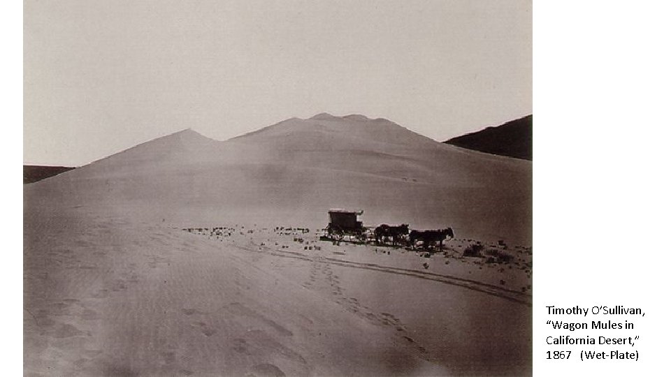 Timothy O’Sullivan, “Wagon Mules in California Desert, ” 1867 (Wet-Plate) 