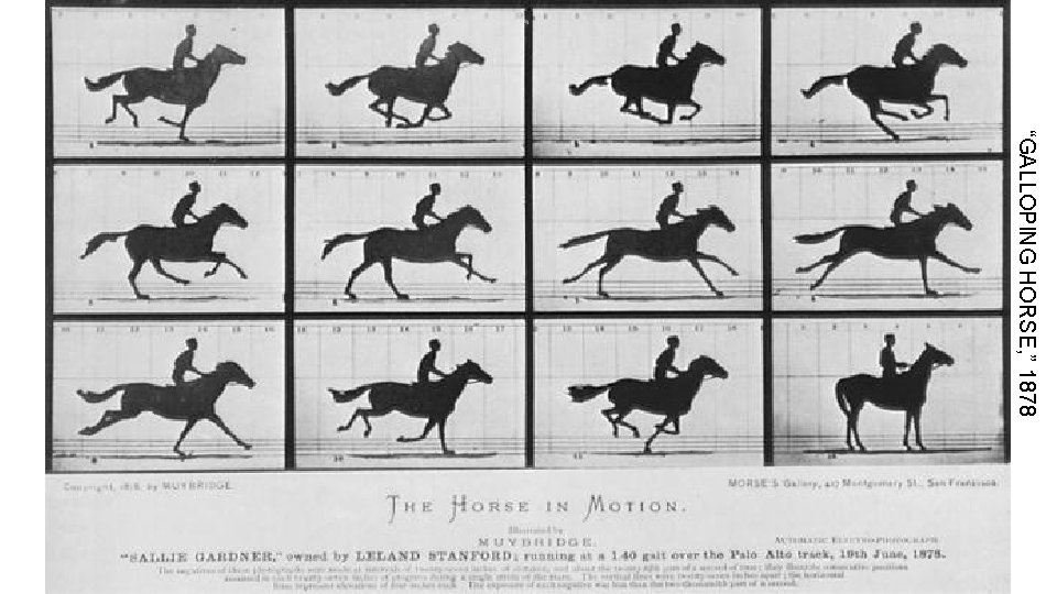 “GALLOPING HORSE, ” 1878 